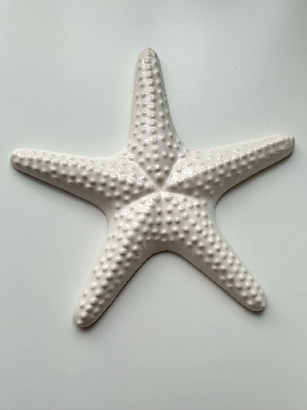 The Spring Shop White Ceramic Starfish Accent